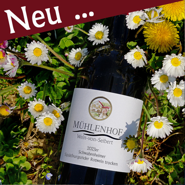 <br><h3>01B/23</h3>2023er Spätburgunder Rotwein trocken  0,75l<br>